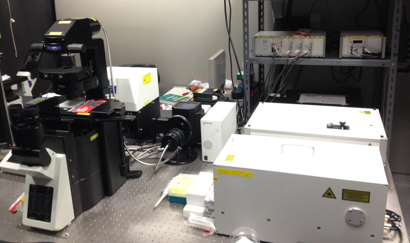 Confocal Set up 2