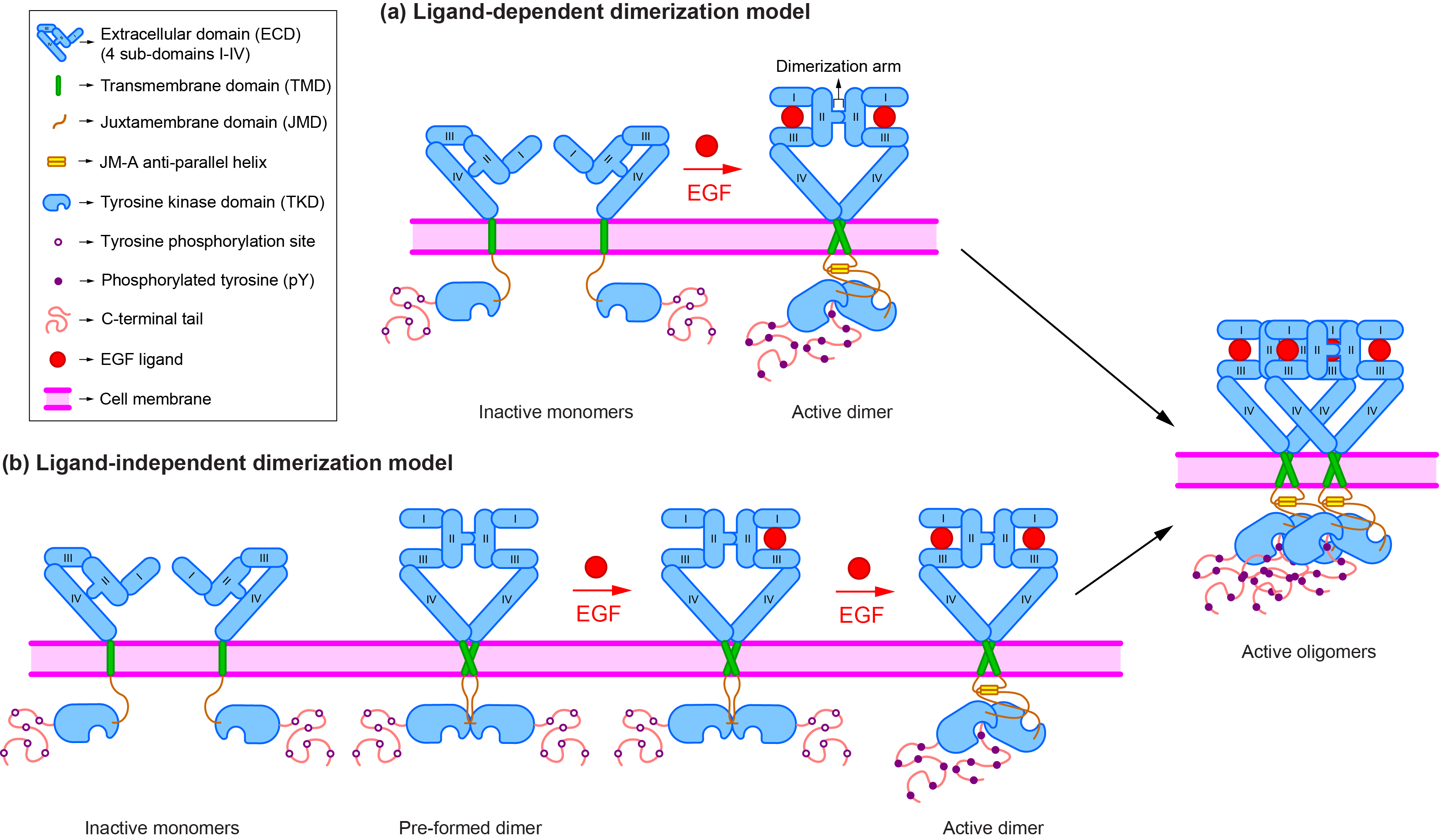 Home [www.dbs.nus.edu.sg]