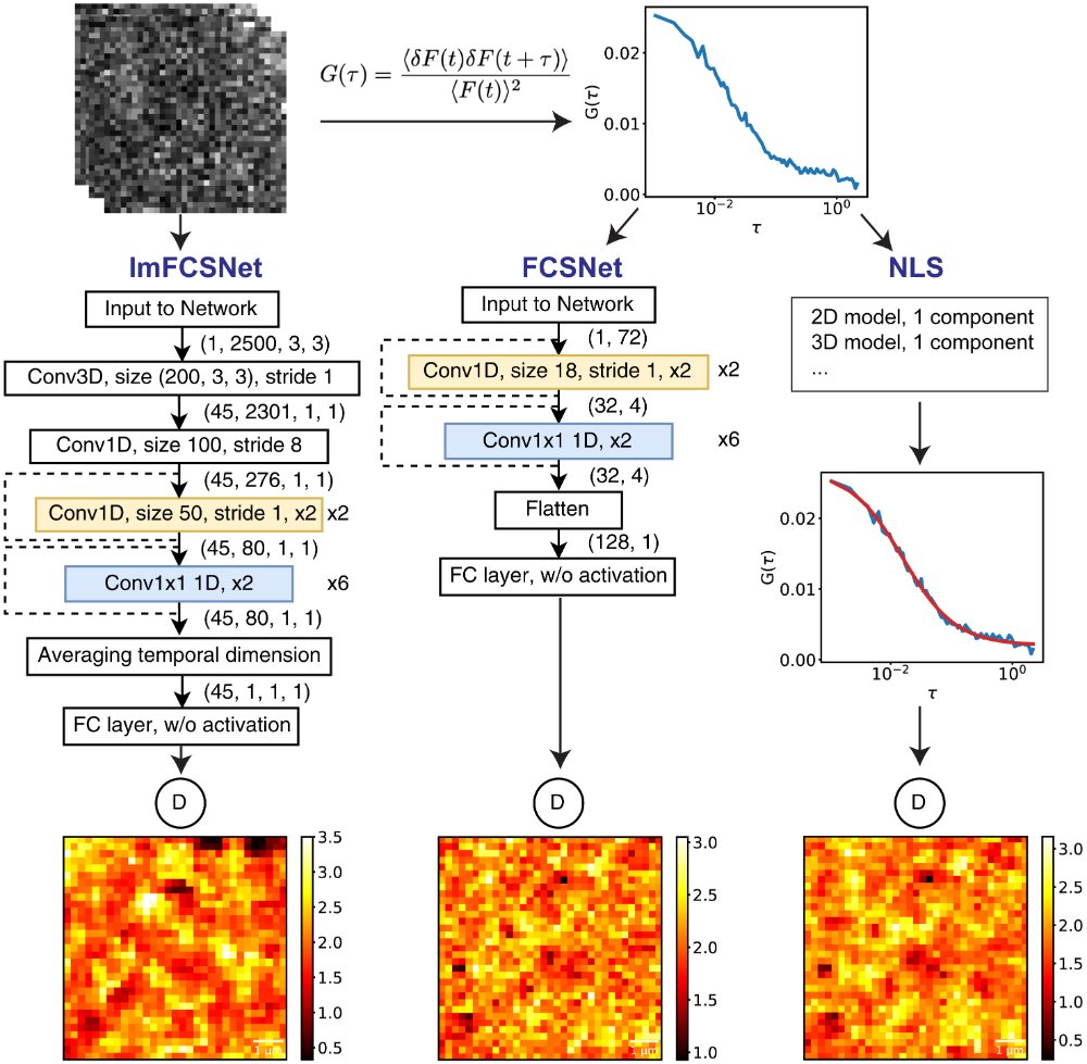 Architecture of the ImFCSNet and FCSNet deep-learning networks compared with nonlinear least-squares fitting, with resulting diffusion coefficient maps