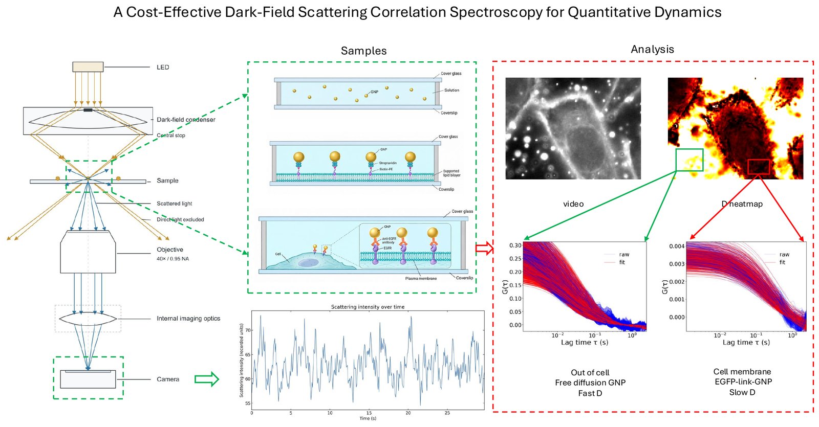 Cost-effective dark-field scattering correlation spectroscopy setup, samples and analysis