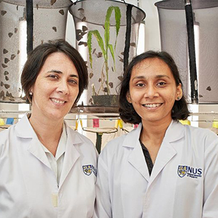 One gene, two sides of butterfly’s wings