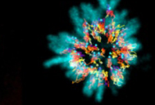 “NUS-AP” deciphers NuSAP function in chromosome