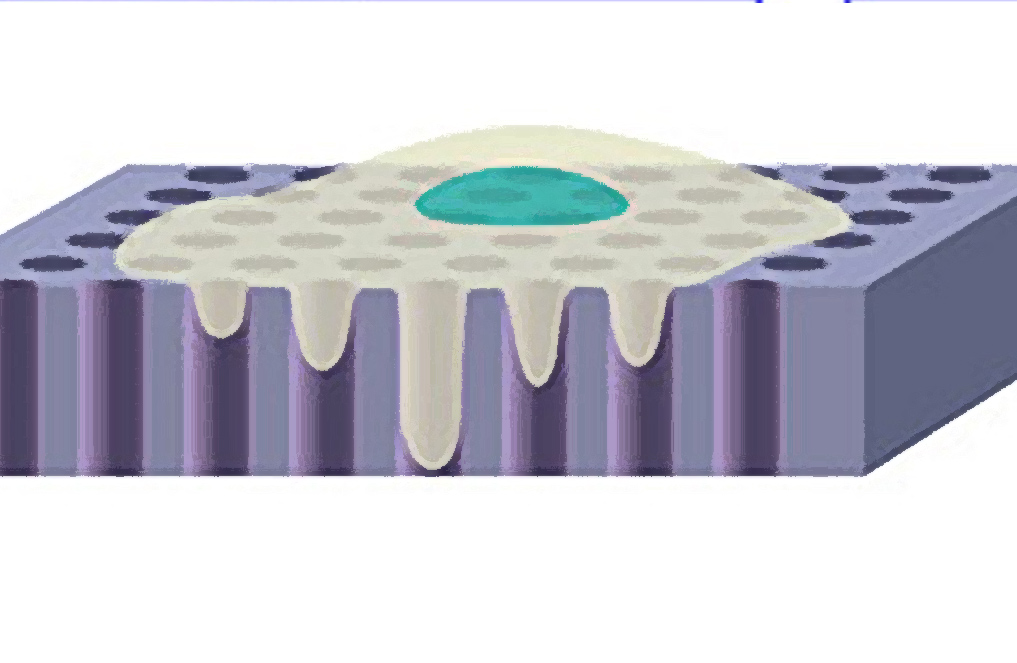 How deep can a cell sense