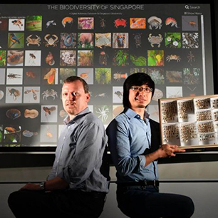 Pokedex of Singapore wildlife records over 10,000 species