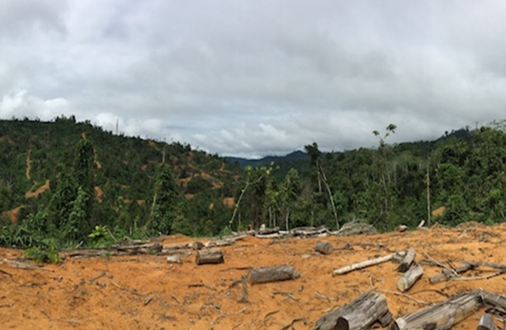 Estimating species loss from habitat clearing