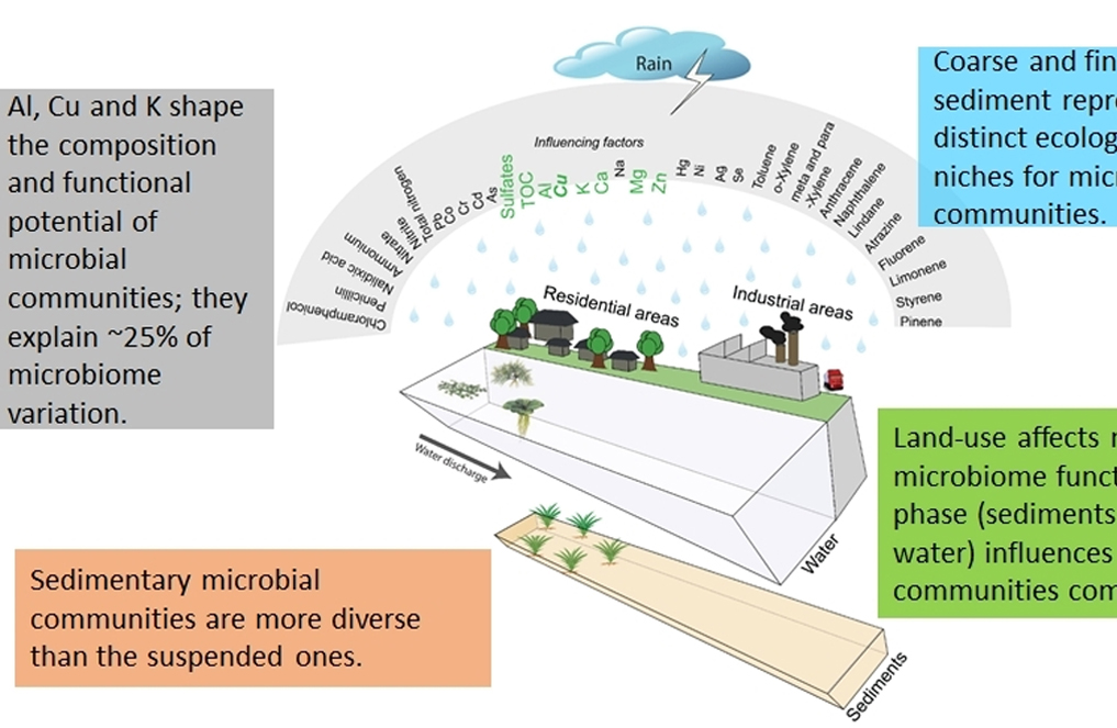 Ecological functioning of urban waterways