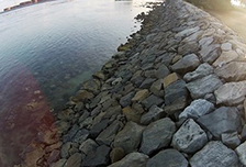 Ecologically engineering Singapore’s seawalls