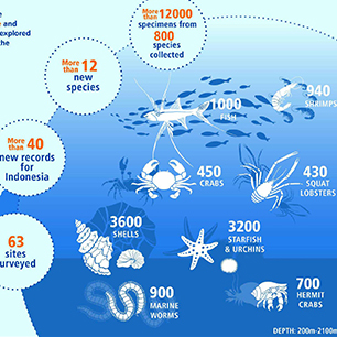 Indonesia, Singapore lead deep-sea expedition to West Java – an update