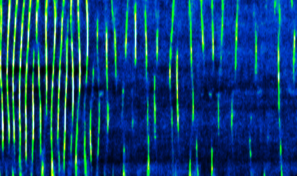 FREQUENCY AND AMPLITUDE CONTROL OF CORTICAL OSCILLATIONS BY PHOSPHOINOSITIDE WAVES