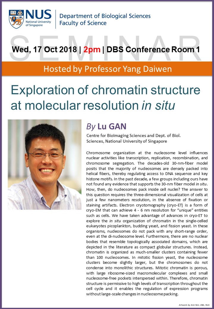 DBS SEMINAR: EXPLORATION OF CHROMATIN STRUCTURE AT MOLECULAR RESOLUTION IN SITU