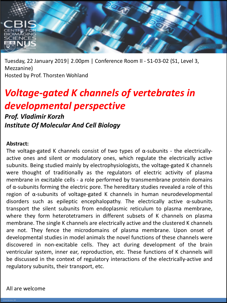 CBIS SEMINAR: VOLTAGE-GATED K CHANNELS OF VERTEBRATES IN DEVELOPMENTAL PERSPECTIVE