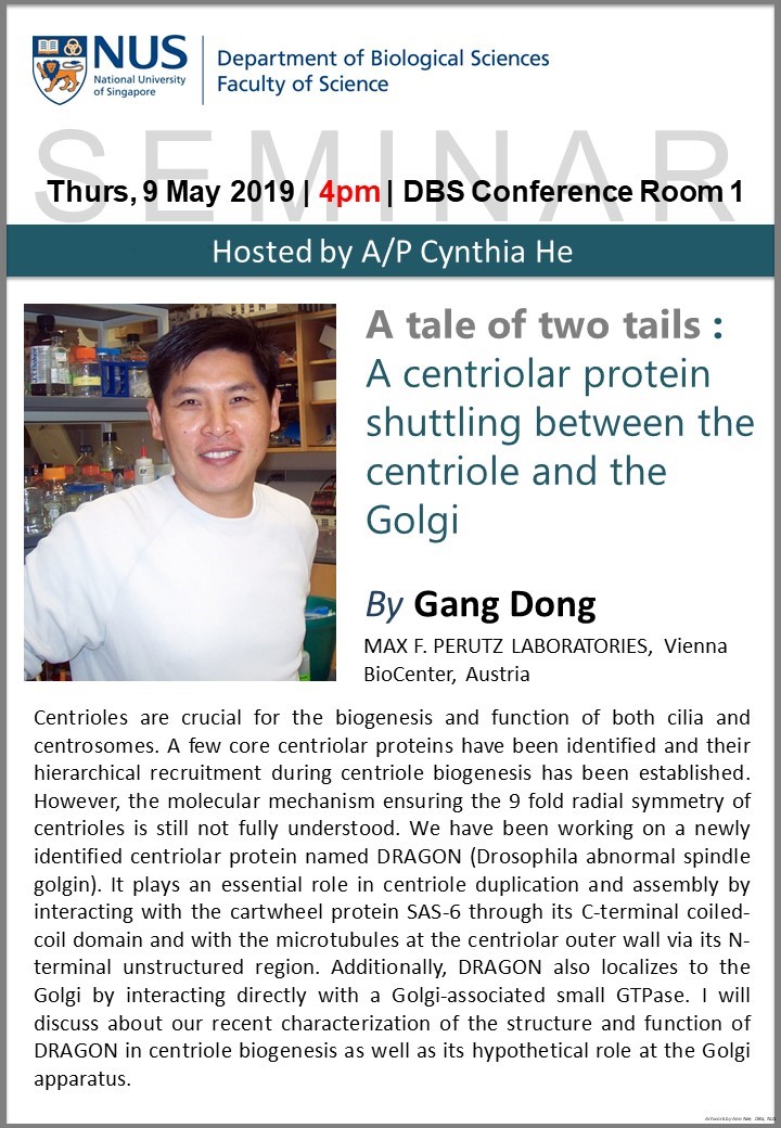 SEMINAR: A TALE OF TWO TAILS: A CENTRIOLAR PROTEIN SHUTTLING BETWEEN THE CENTRIOLE AND THE GOLGI