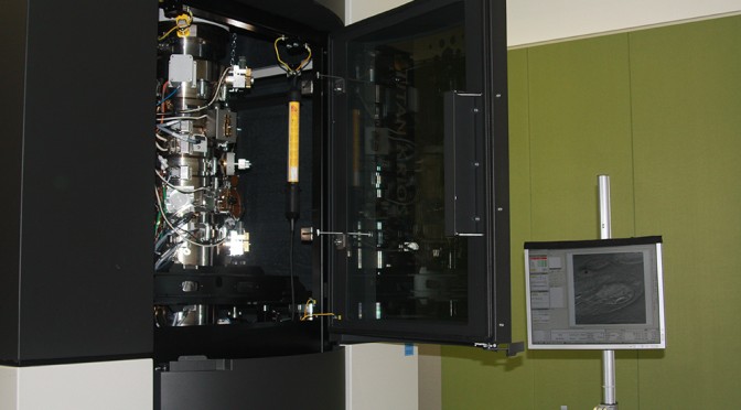 MECHANISMS AND IMPLICATIONS OF SINGLE CELL PATTERN FORMATION BY A/PROF WU MIN