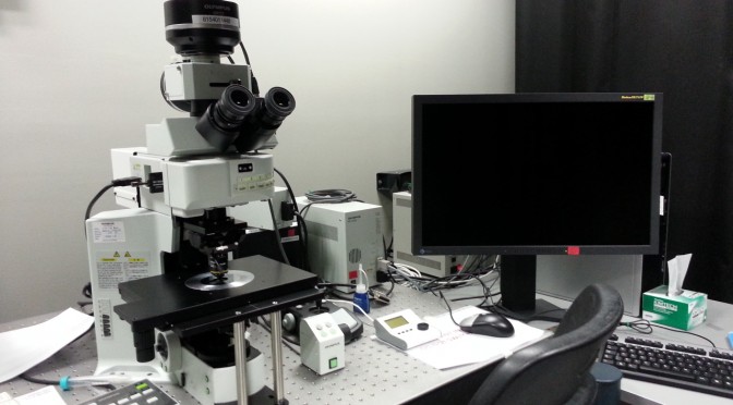 LOW-DOSE COMPUTATIONAL PHASE CONTRAST ELECTRON MICROSCOPY FOR BIOLOGICAL SAMPLES: PROSPECTS AND CHALLENGES