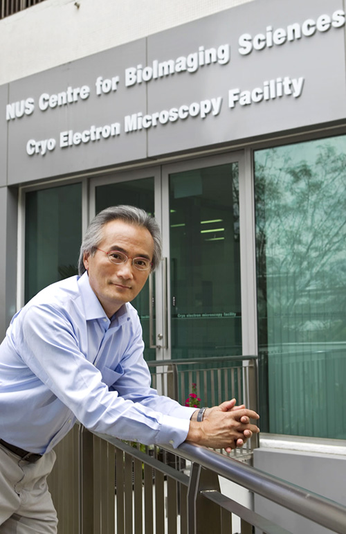 Prof Paul Matsudaira Awarded Emeritus Professorship 2020