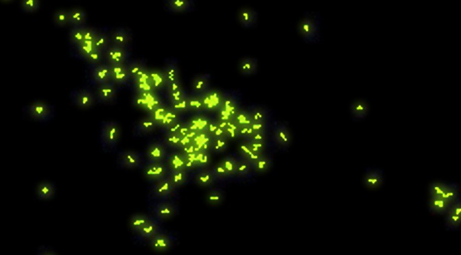 CALCIUM OSCILLATIONS-COUPLED CONVERSION OF ACTIN TRAVELLING WAVES TO STANDING OSCILLATIONS