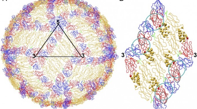 CBIS PI SHEE MEI LOK AWARDED NATIONAL RESEARCH FOUNDATION INVESTIGATORSHIP