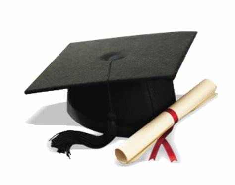 Catholic High School’s Global Scholars Programme 2020