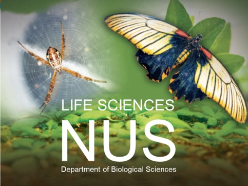 DBS Freshmen e-Welcome and Curriculum Briefing | July 2020