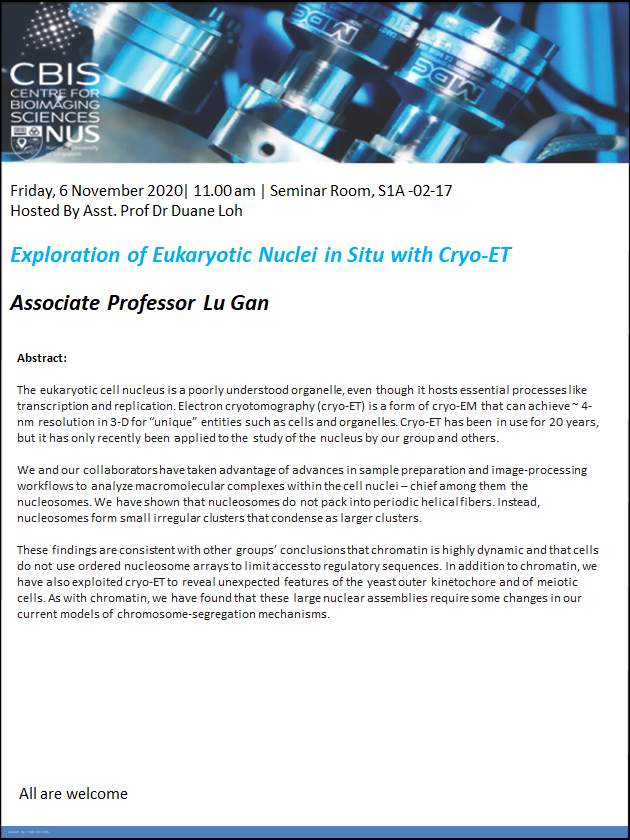 CBIS Seminar: Exploration of eukaryotic nuclei in situ with Cryo-ET by Lu Gan