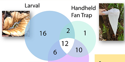 Integrative approach reduces error cascades in mosquito vector surveillance