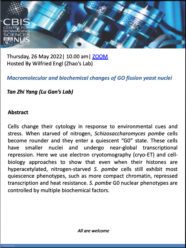 CBIS Seminar: Macromolecular and biochemical changes of GO fission yeast nuclei