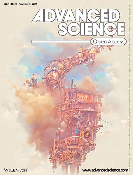 Building a mechanobiological signalling scaffold for the heart