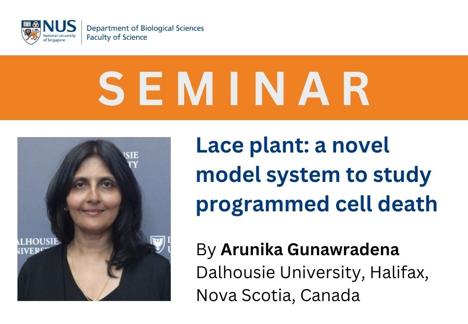 Arunika Gunawradena | 6 Mar 2023