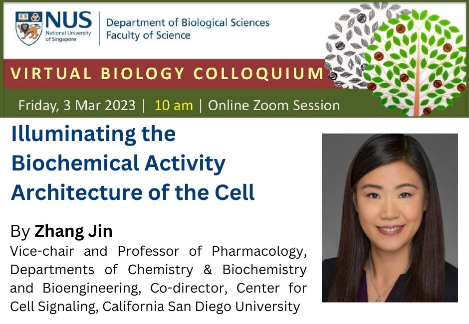 Zhang Jin | 3 Mar 2023