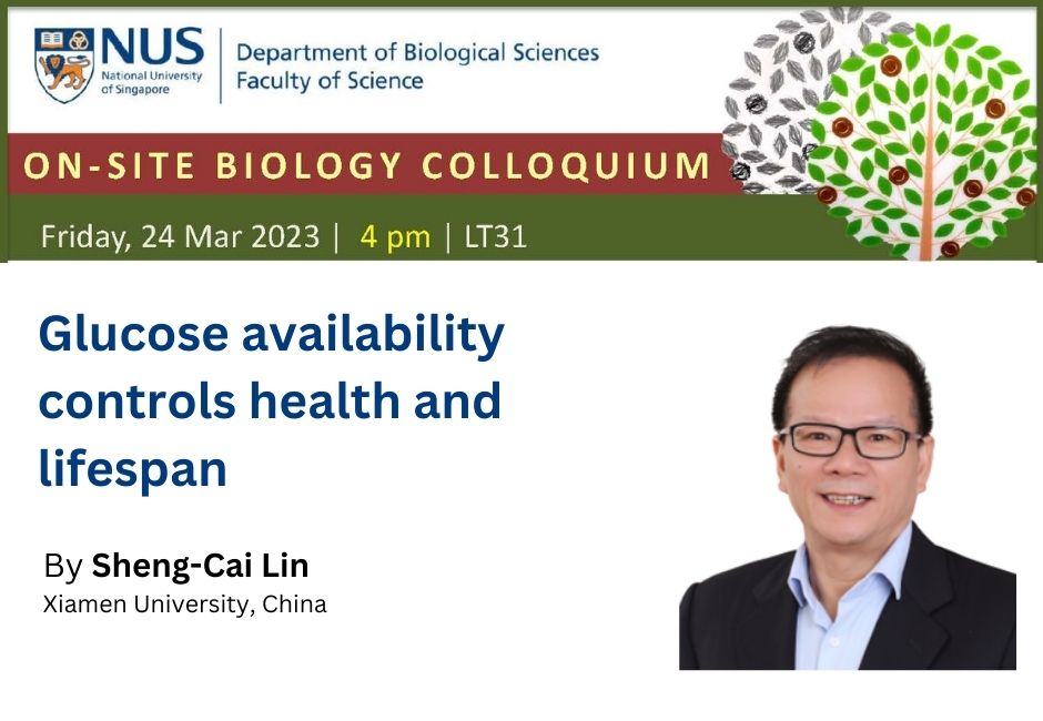 Lin Shengcai | 24 Mar 2023