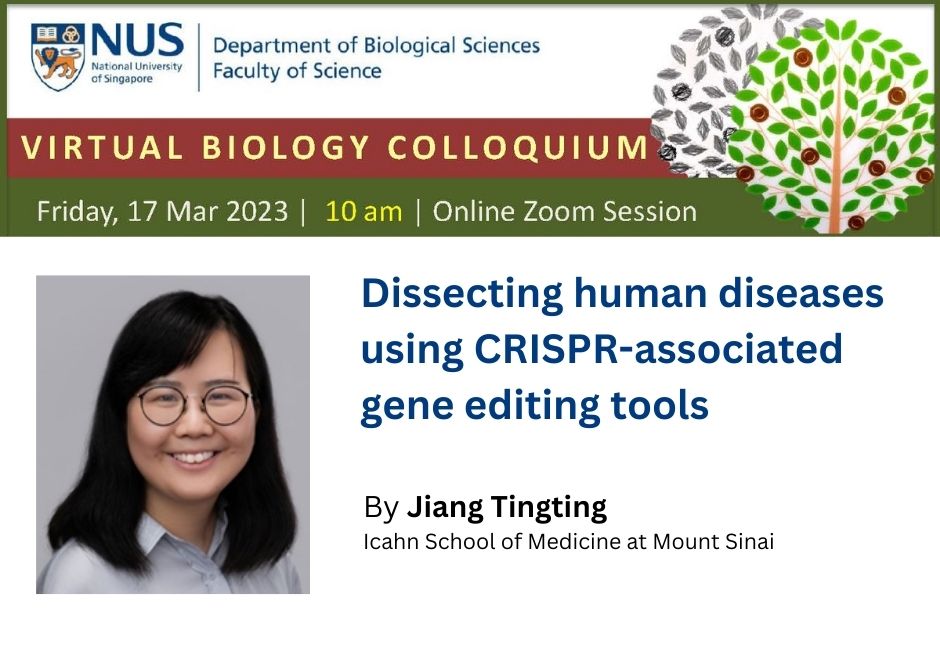 Jiang Tingting | 17 Mar 2023