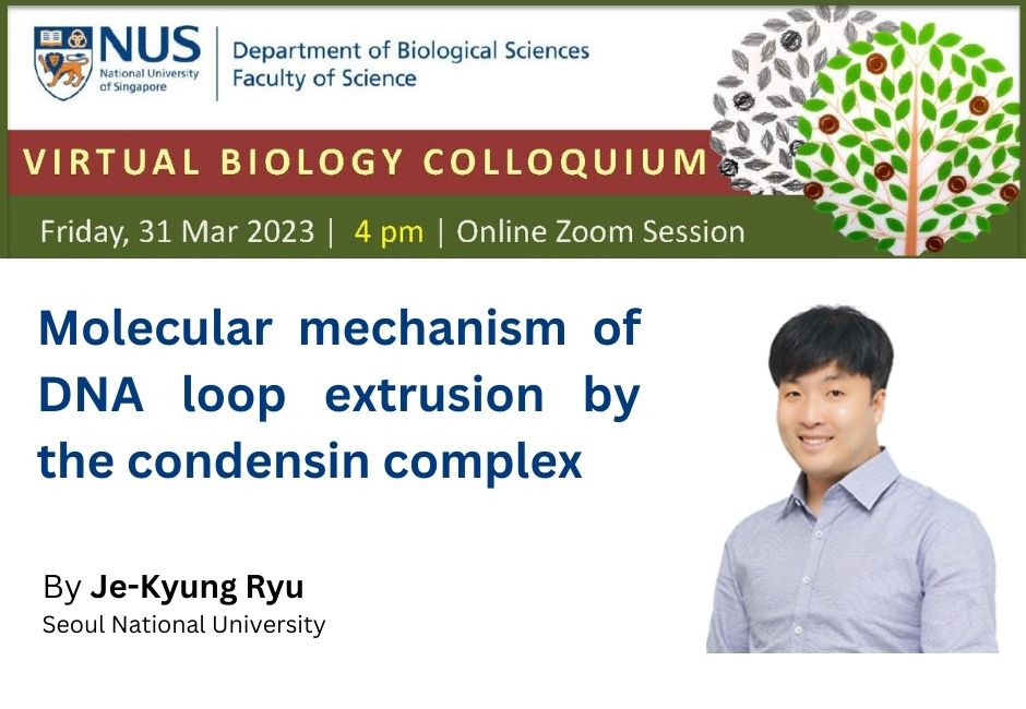 Je-Kyung Ryu | 31 Mar 2023