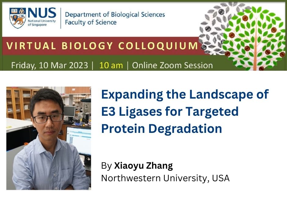 Xiaoyu Zhang | 10 Mar 2023