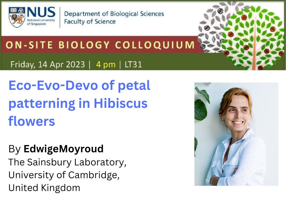 Edwige Moyroud | 14 Apr 2023