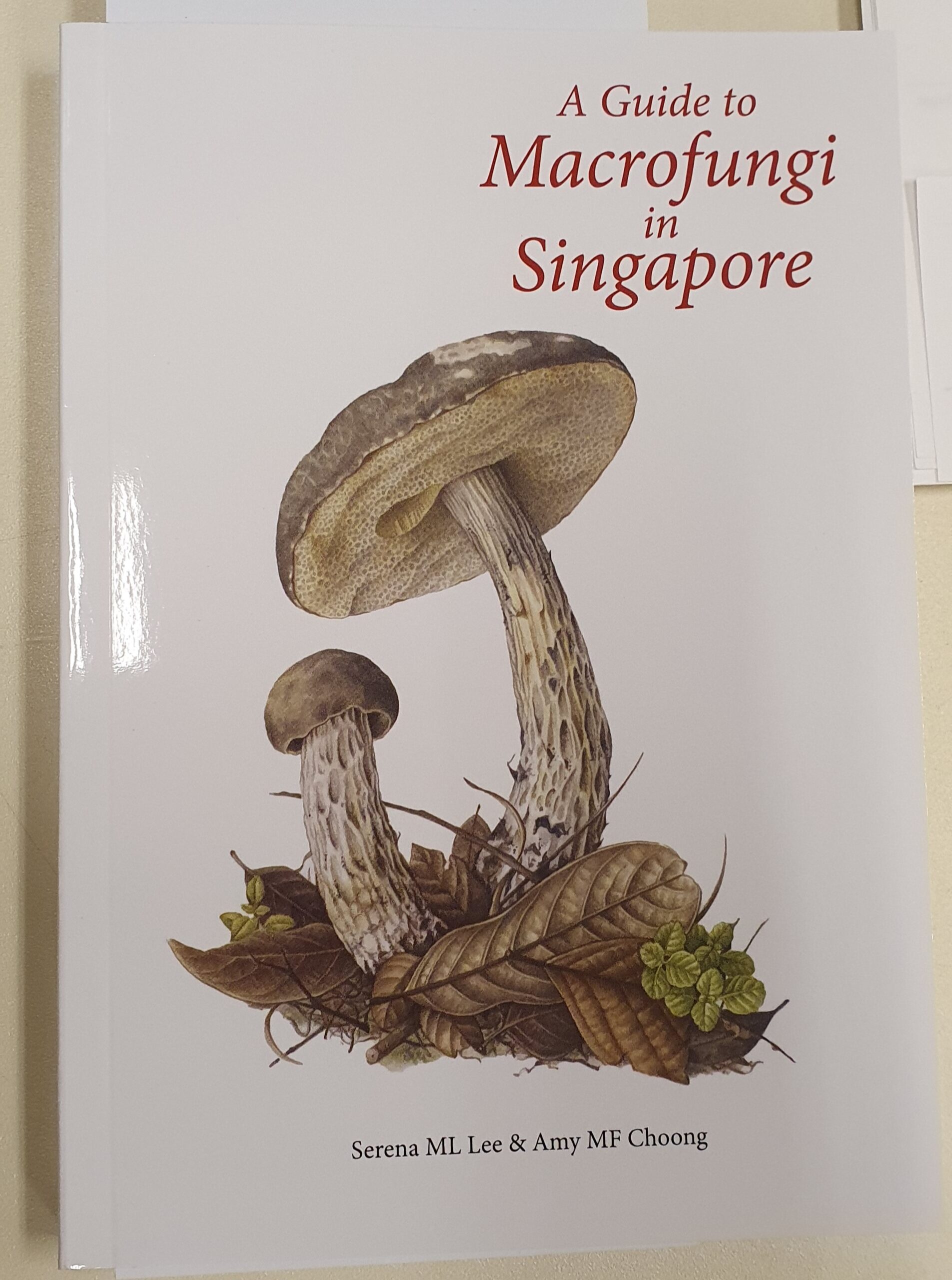 A Guide to Macrofungi in Singapore
