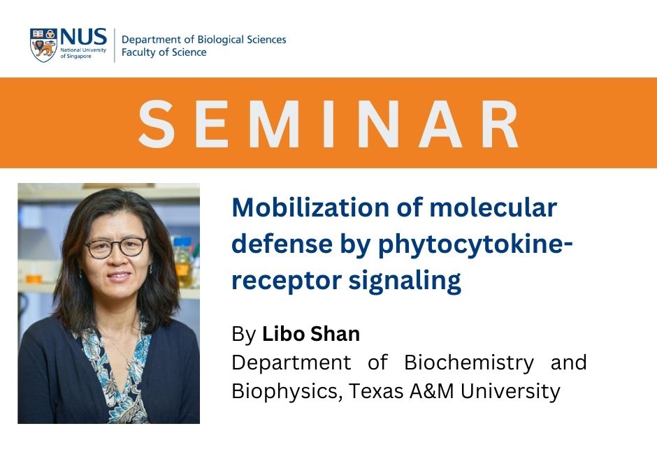 Libo Shan | 15 June 2023