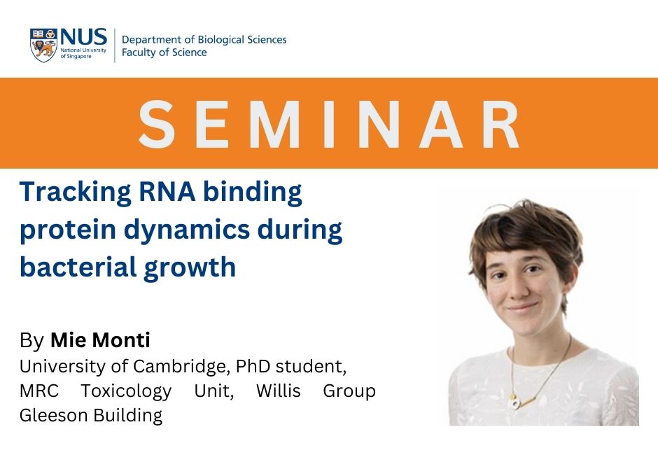 Mie Monti | 7 June 2023