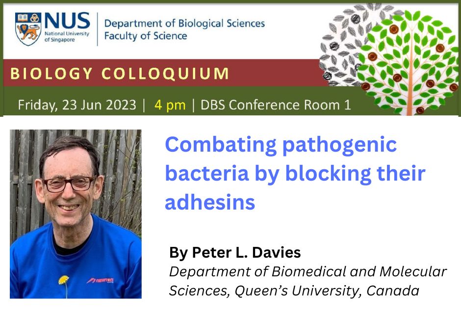 Peter Davies | 23 June 2023