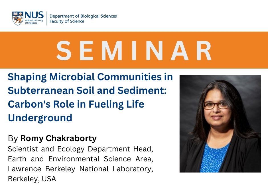 Romy C | 3 July 2023