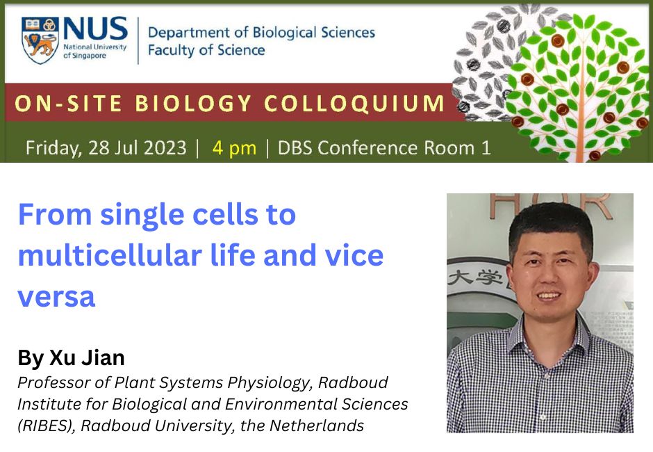 Xu Jian | 28 July 2023