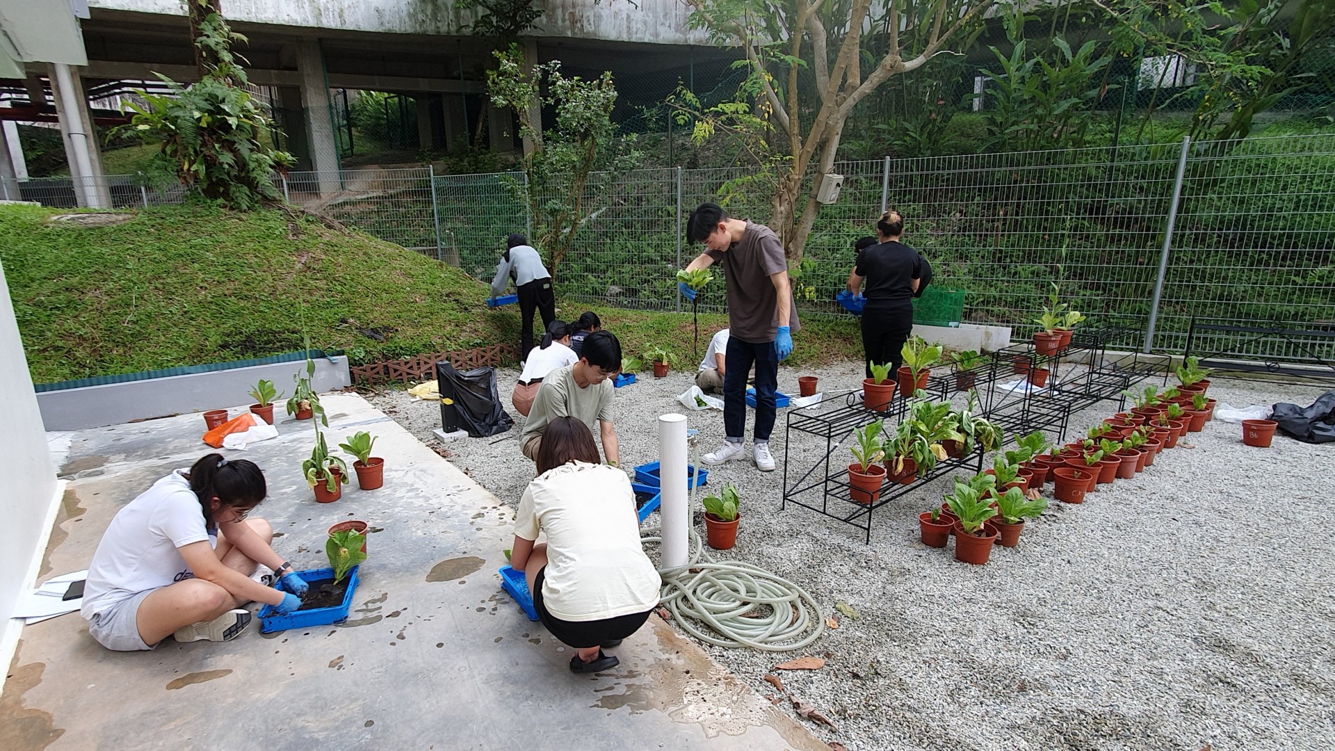 Training more plant experts with a new botany minor