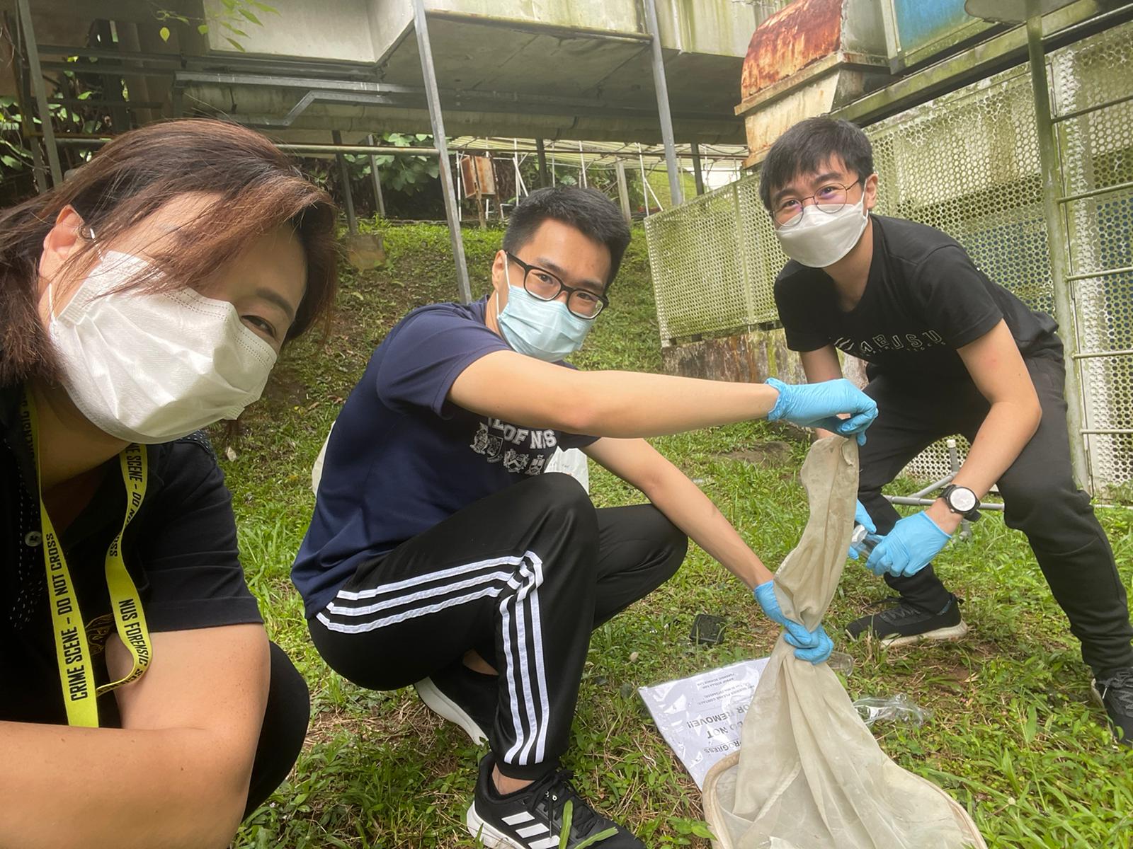 Fly artefacts or bloodstains?