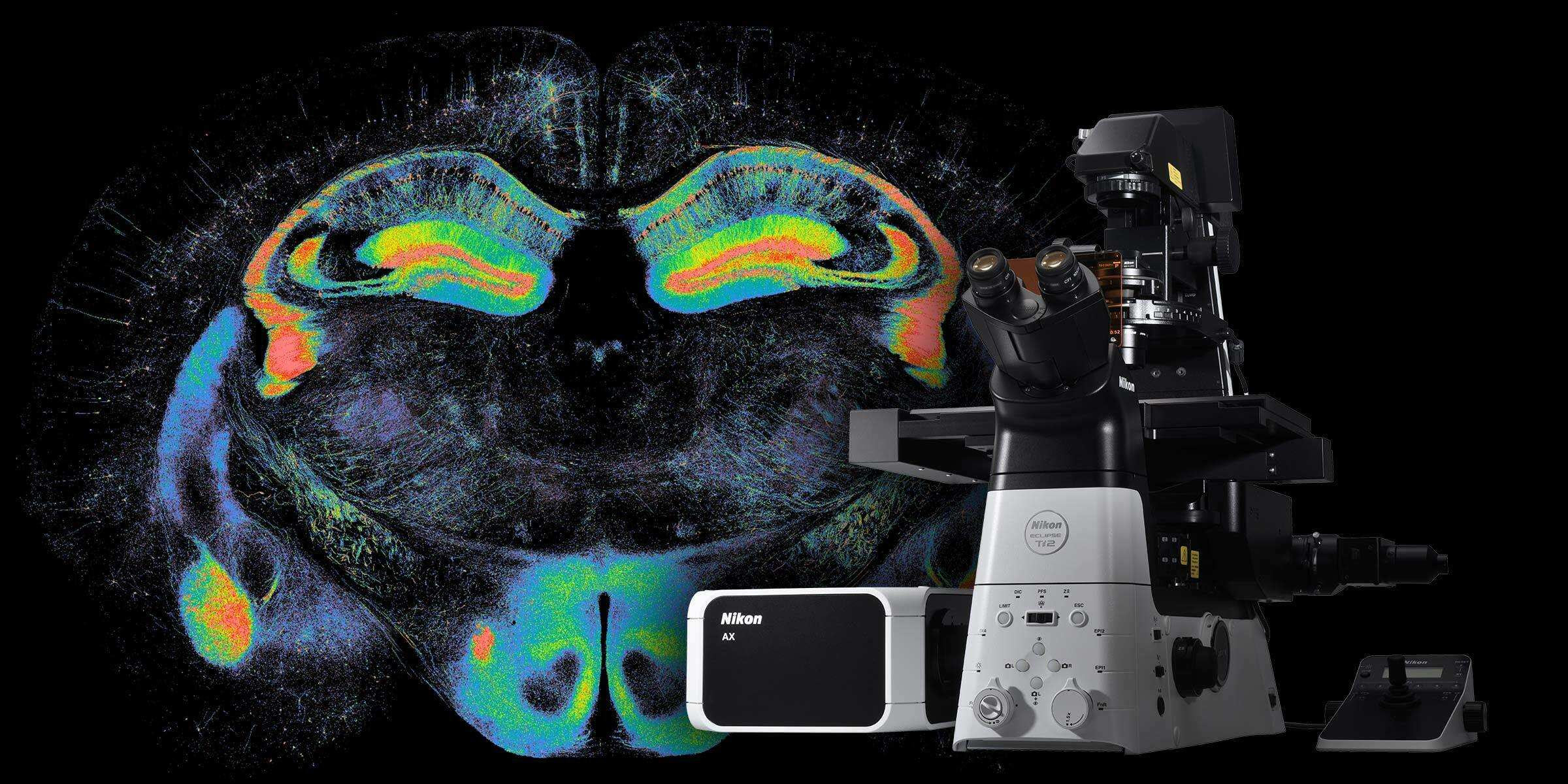 Nikon new-generation AX super-resolution confocal systems seminar and workshop