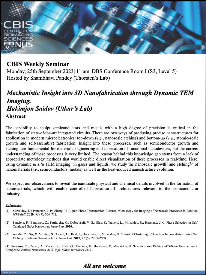 CBIS Seminar: Mechanistic insight into 3D nanofabrication through dynamic TEM imaging