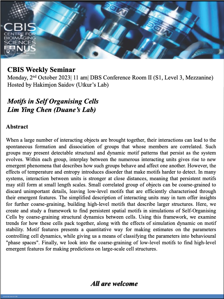 CBIS Seminar: Motifs in self organising cells