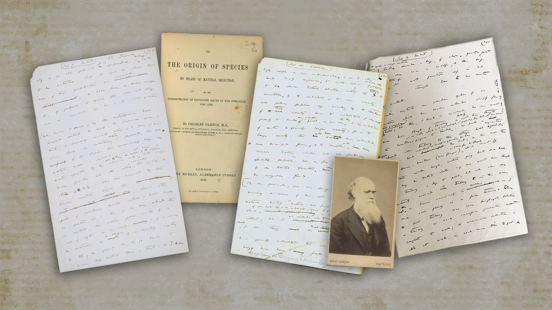 All surviving drafts, including three rediscovered pages, of Origin of Species revealed – Dr John van Wyhe
