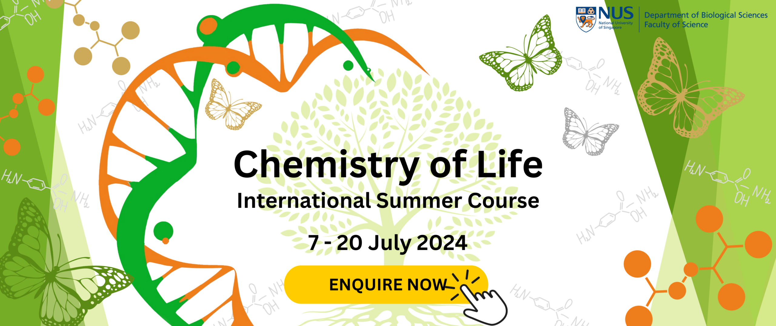 DBS Summer Course 2024 – Chemistry of Life | 7 – 20 July 2024