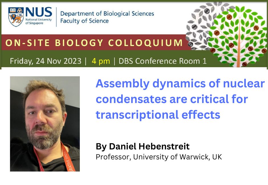 Daniel Hebenstreit | 24 Nov 2023