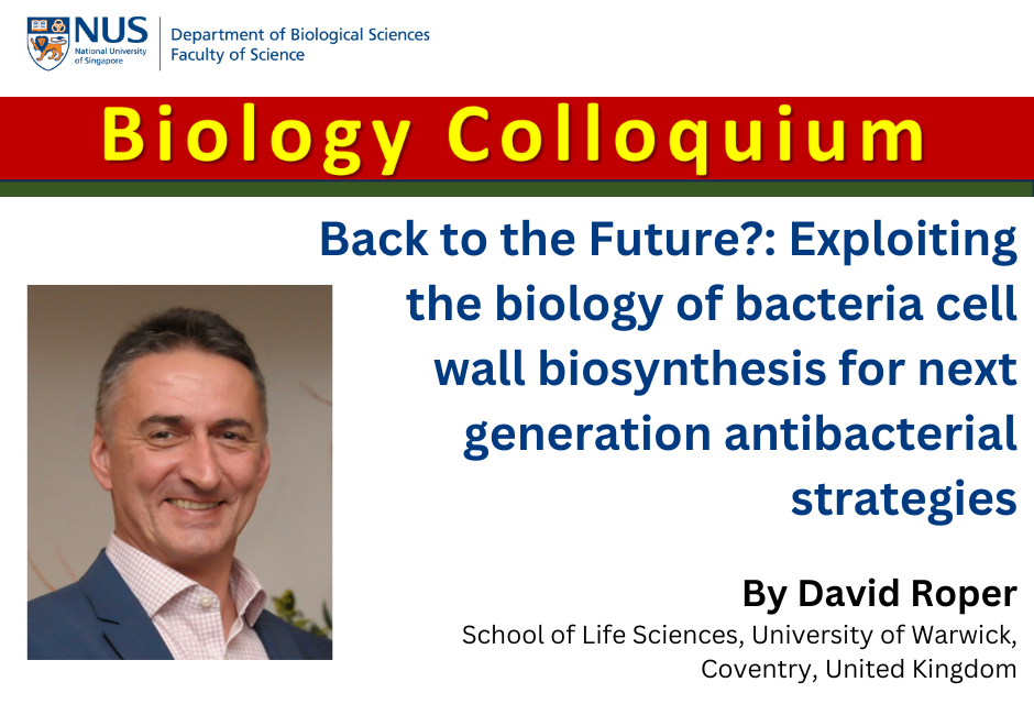 David Roper | 16 Feb 2024