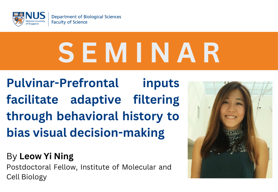 Leow Yi Ning | 21 Feb 2024